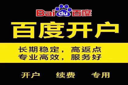 行业标杆：某信息流广告公司的成功投放策略
